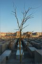 Берлин: мемориал жертвам Холокоста (Denkmal für die ermordeten Juden Europas) © Фото M. Кабаковой